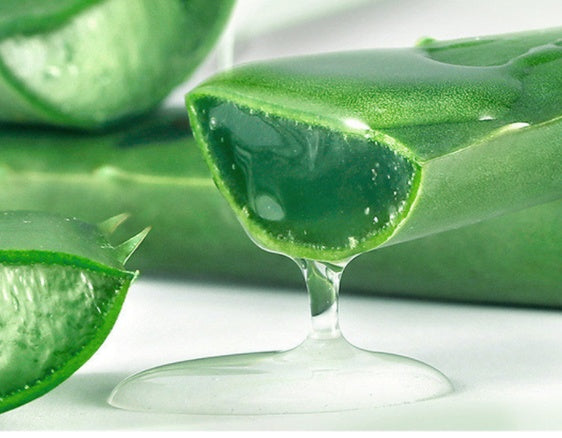 Aloe Vera Moisturizing Facial Gel